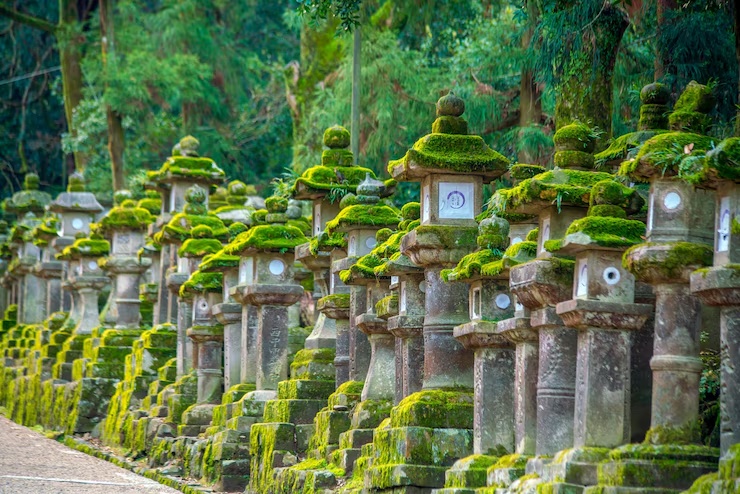 Allée de lanternes de pierre moussues au sanctuaire Kasuga Taisha à Nara